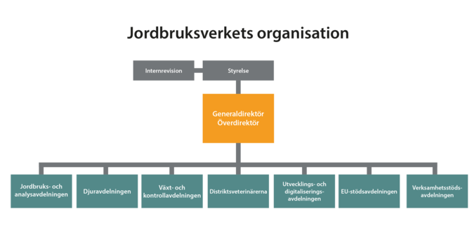 Struktursschema för organisationen hos Jordbruksverket.