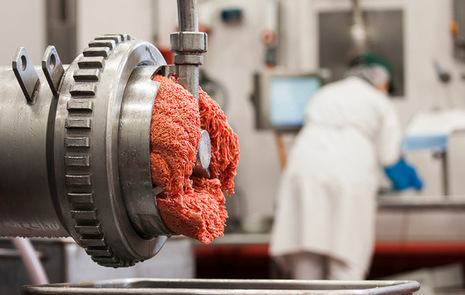 Kött kommer ut ur köttkvarn i fabrik
