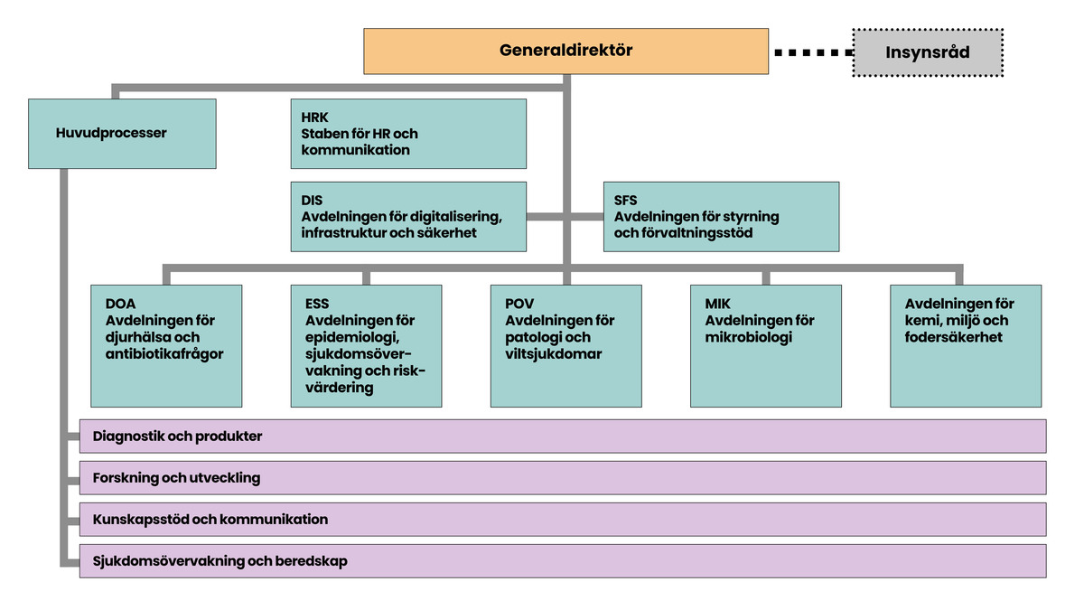 SVA´s organisationsscheman 