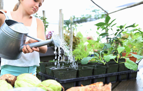 Flicka vattnar växter i ett växthus.