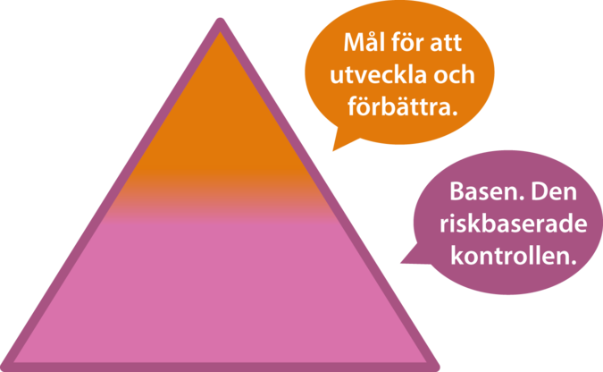 Målen är utöver den riskbaserade kontrollen.