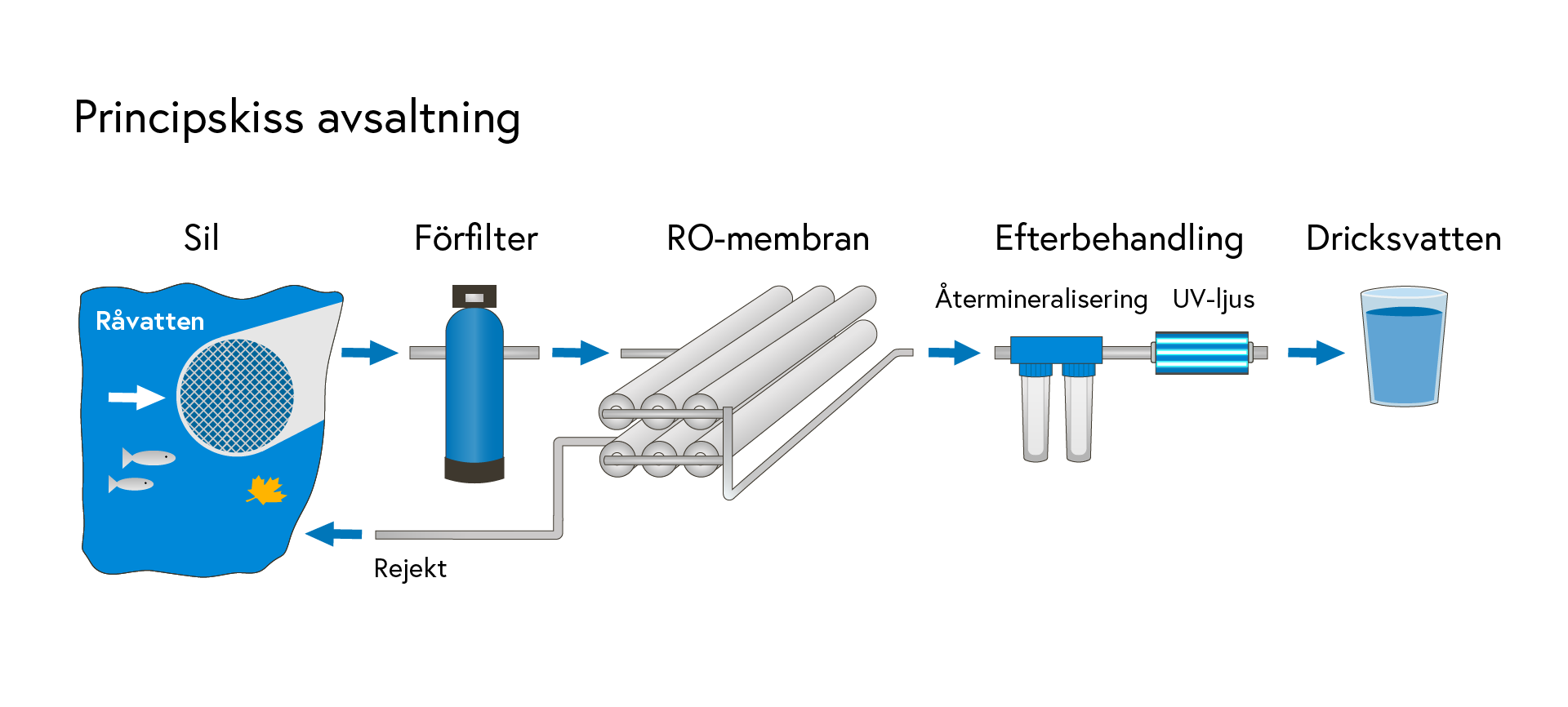 Skiss över hur avsaltning fungerar, från sil till förfilter, Ror-membran och efterbehandling till dricksvatten. 