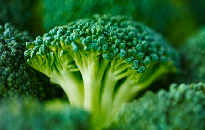 Närbild på broccoli.