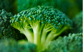 Broccoli