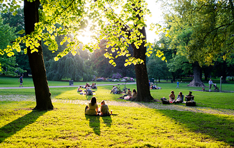 Människor i en park, solen lyser genom träden