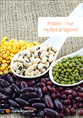 Faktabroschyr: Protein – hur mycket är lagom? 